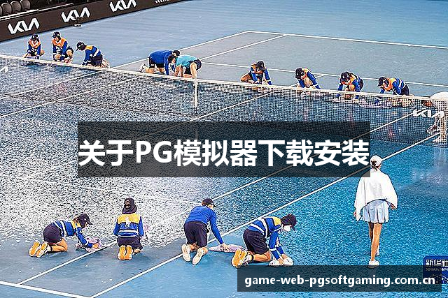 关于PG模拟器下载安装